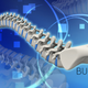 Illustration for article titled This Week In The Business: Save Our Spines